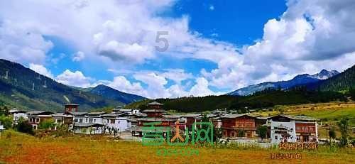 申报为“空箱”却散发出强烈腐臭气味,海关查获20.47吨洋垃圾:退运!已立案!