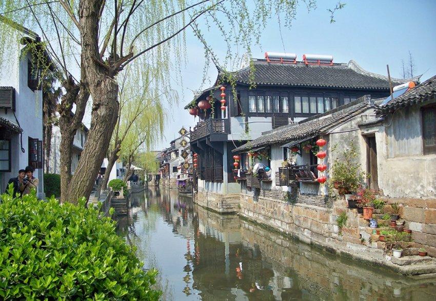 吃补药不如吃秋葵,没事吃一吃,6个好处带回家!